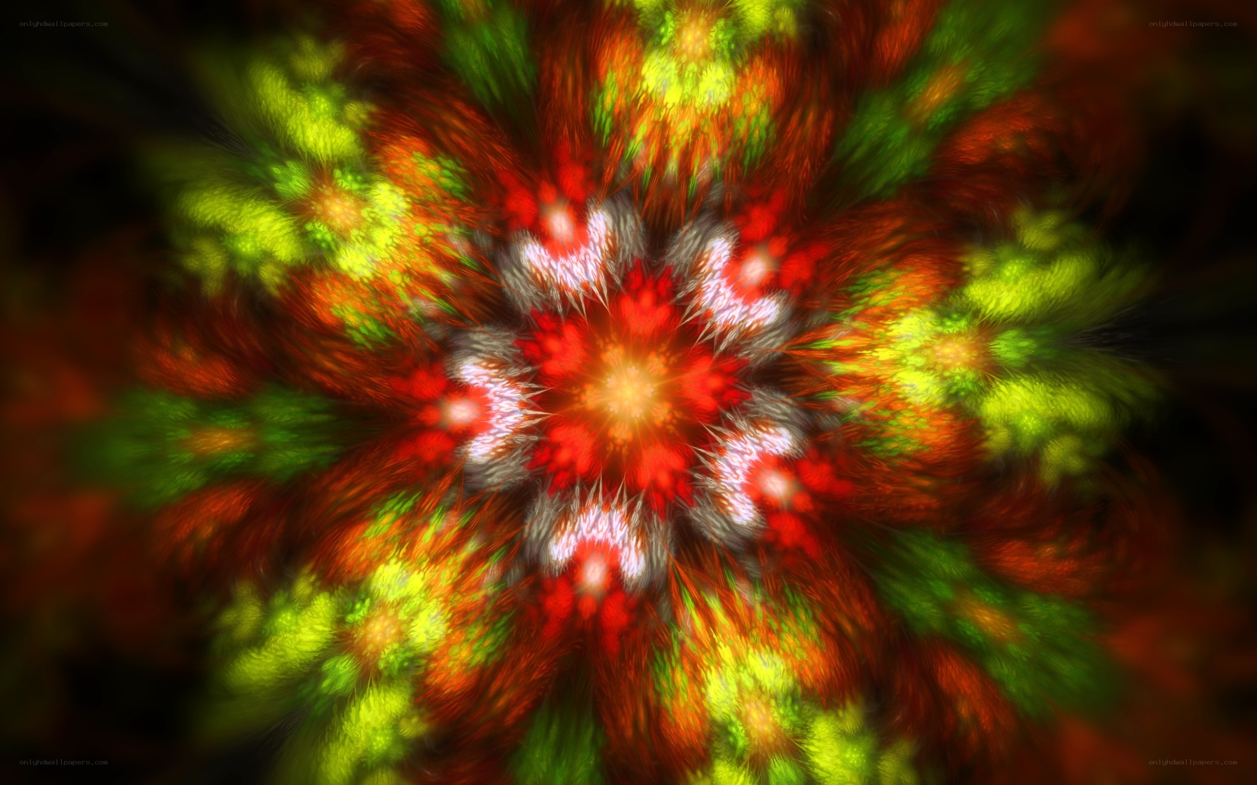 Colorful fractal flower pattern