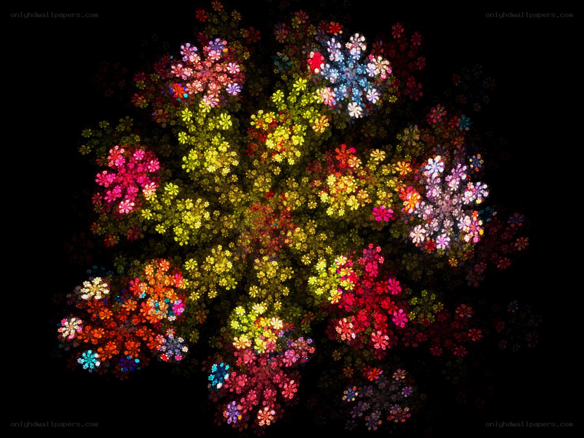 Colorful fractal flower pattern
