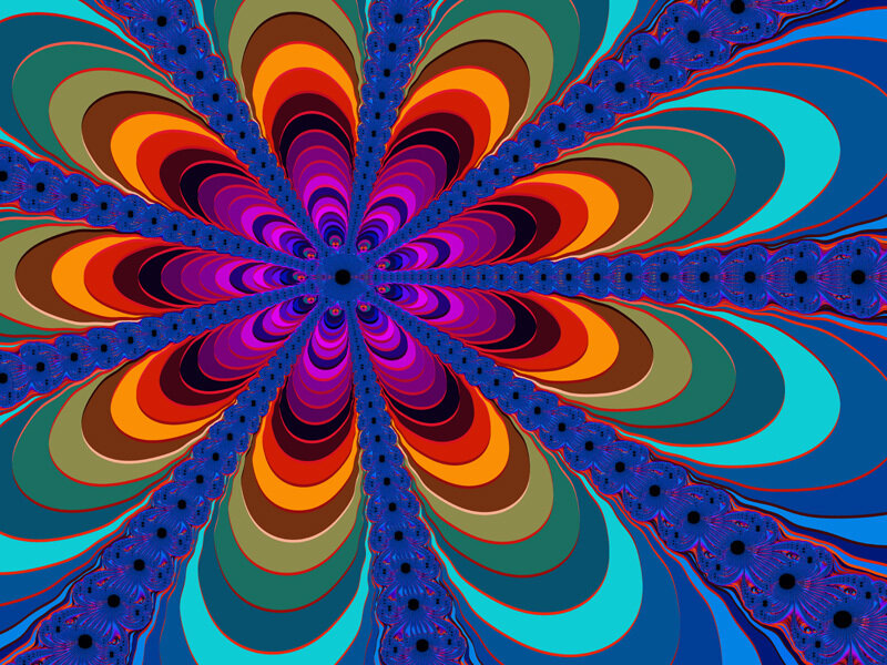 colorful fractal flower pattern