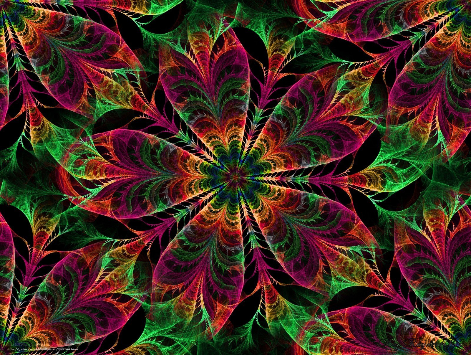 Colorful fractal flower pattern