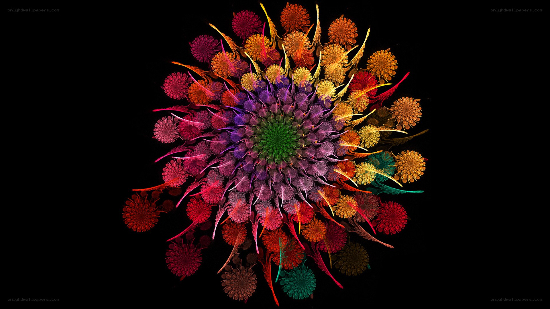 Colorful fractal flower pattern