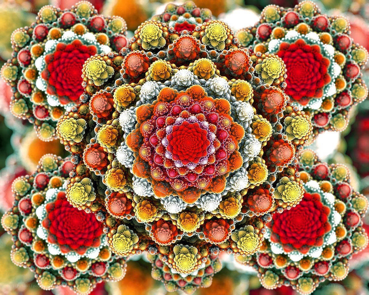 Colorful fractal flower pattern