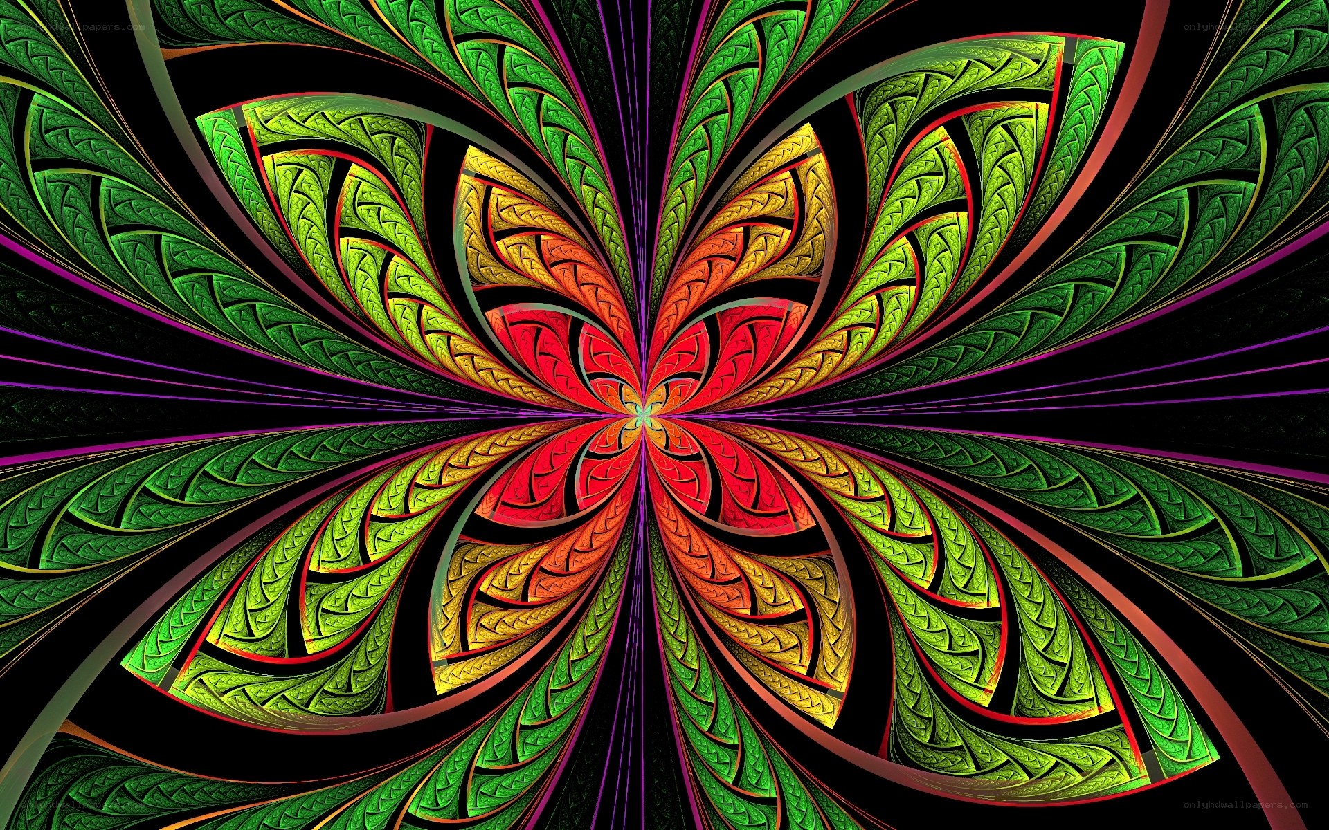 Colorful fractal flower pattern