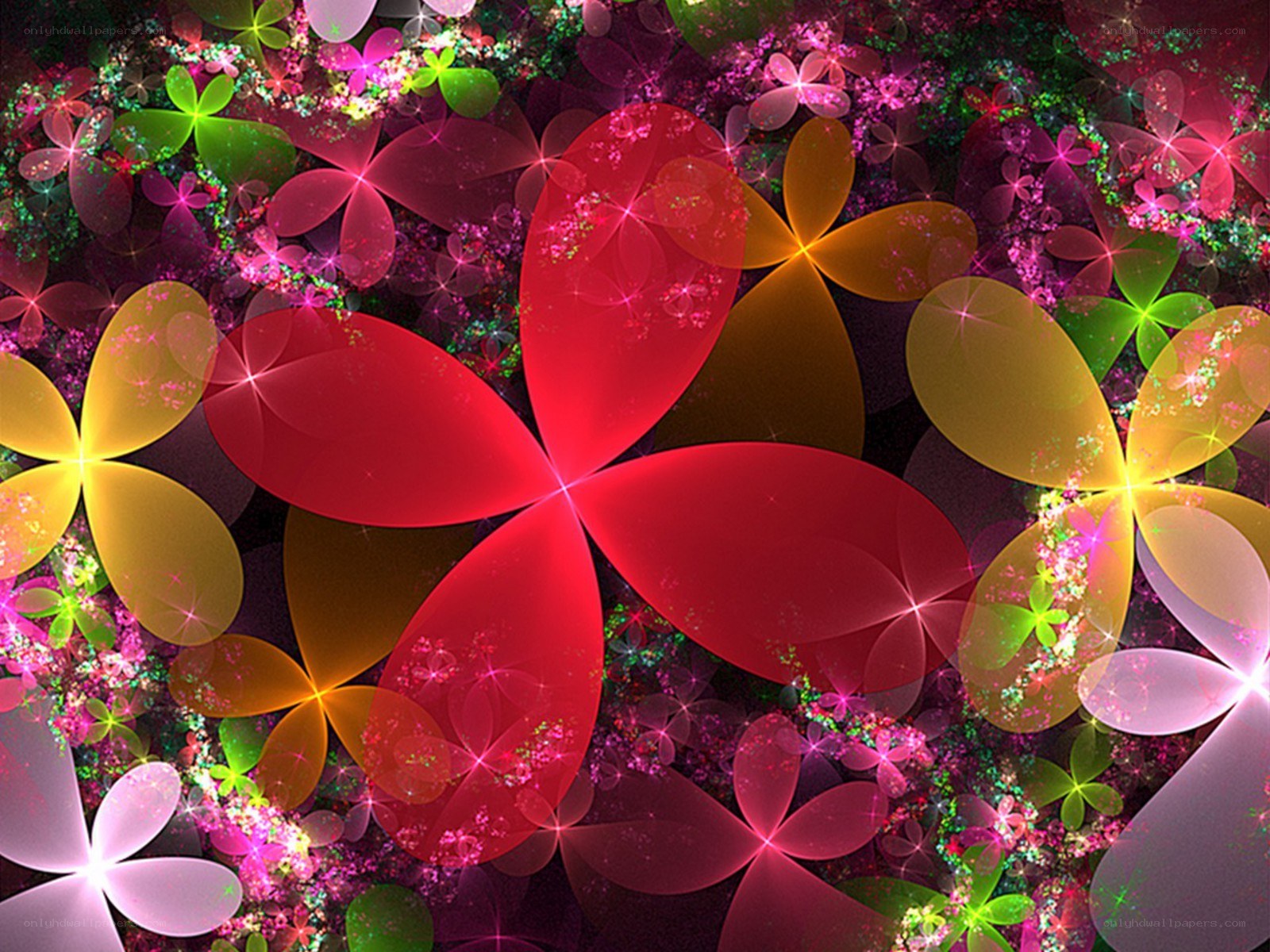 colorful fractal flower patterns