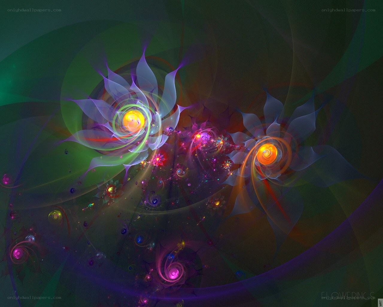 Colorful fractal flower patterns