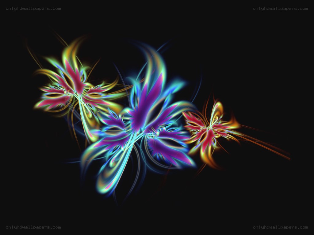colorful fractal flower patterns