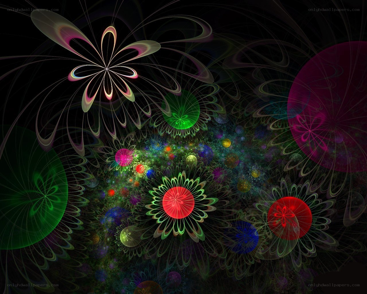Colorful fractal flower patterns