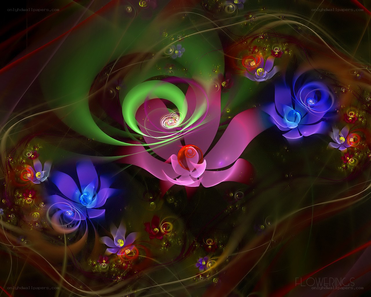 Colorful fractal flower patterns