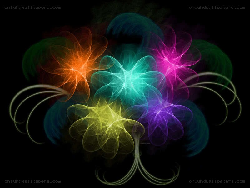 colorful fractal flower patterns