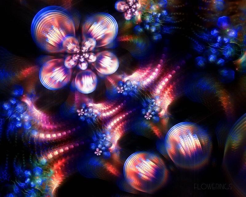 Colorful fractal flower patterns