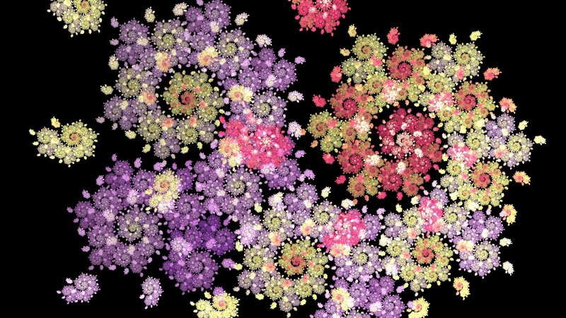 colorful fractal flower patterns