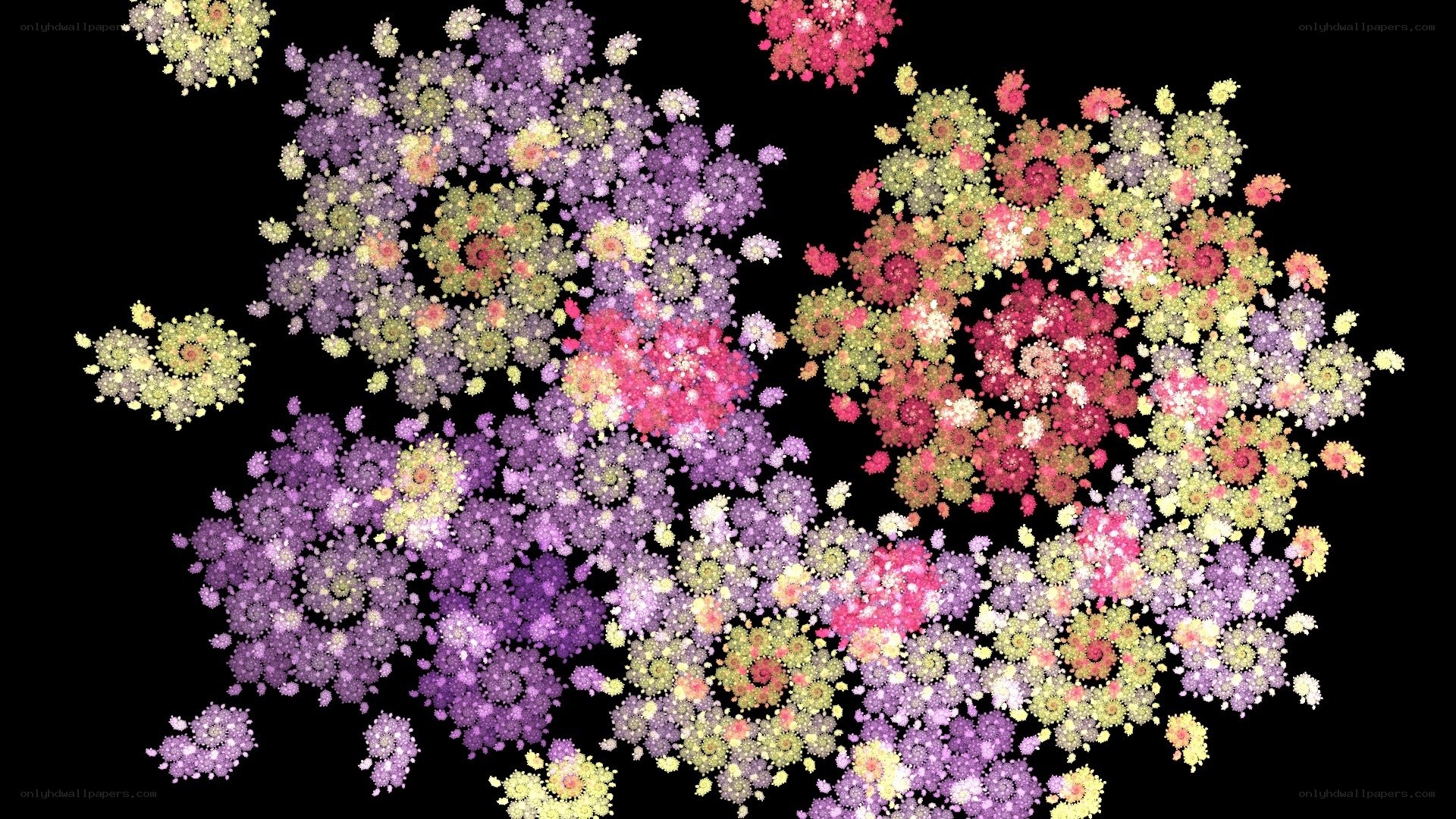 colorful fractal flower patterns