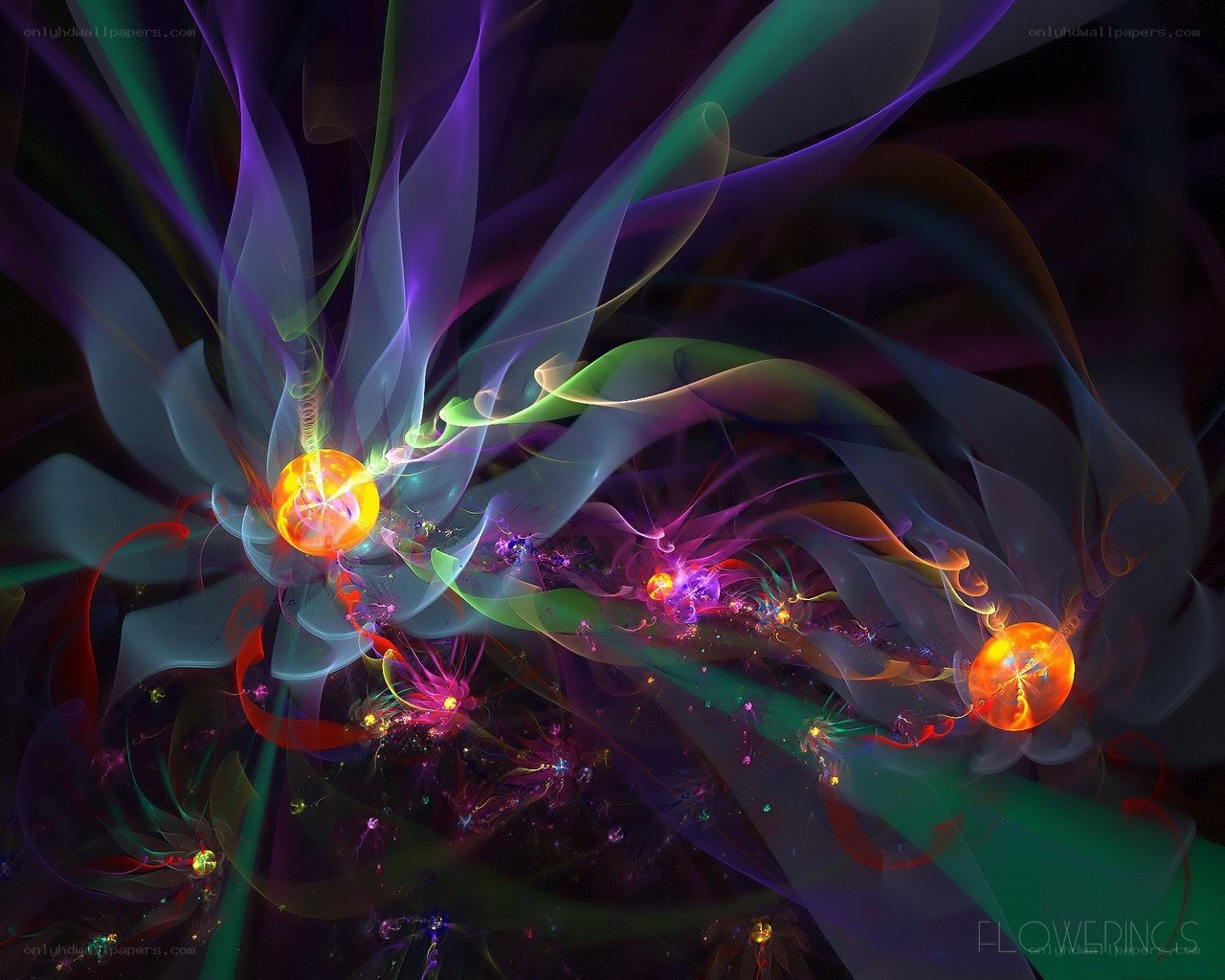 Colorful fractal flower patterns