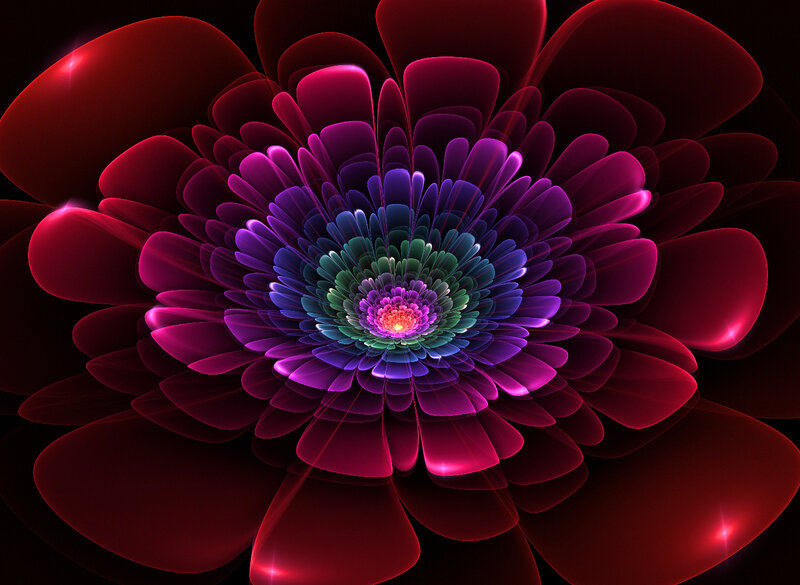 Colorful Fractal Flower — Purple, Dramatic