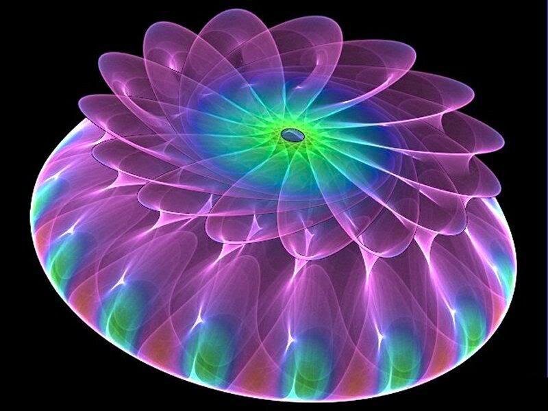 Colorful Fractal Flower — Purple, Vibrant