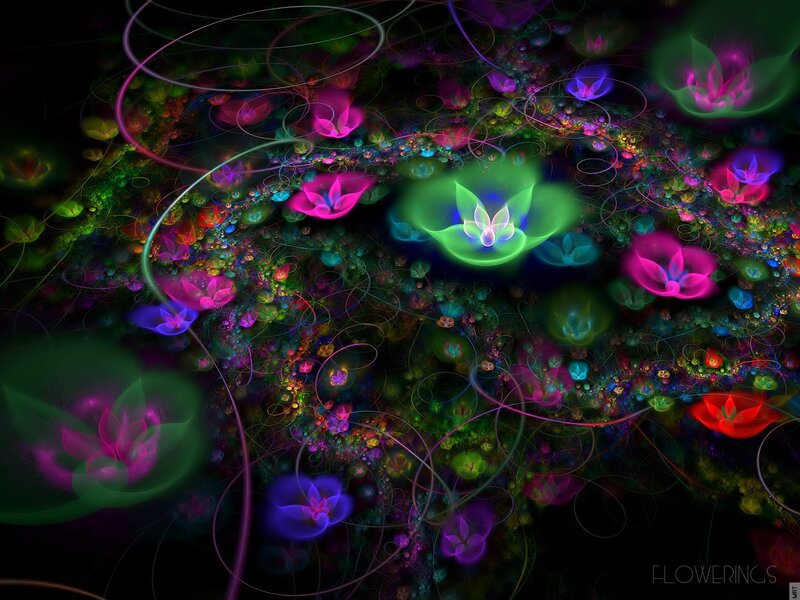 Colorful fractal flowers