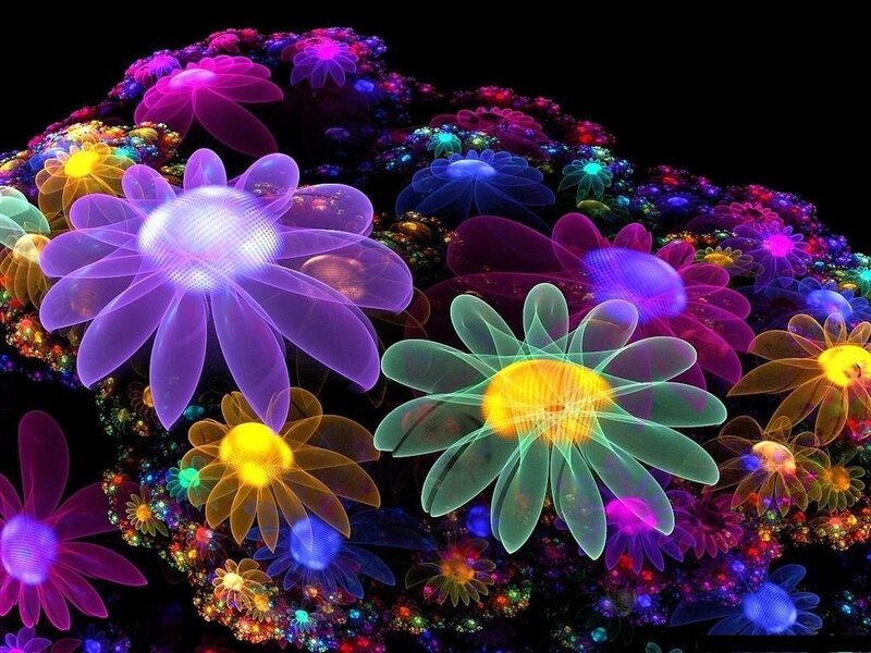 colorful fractal flowers