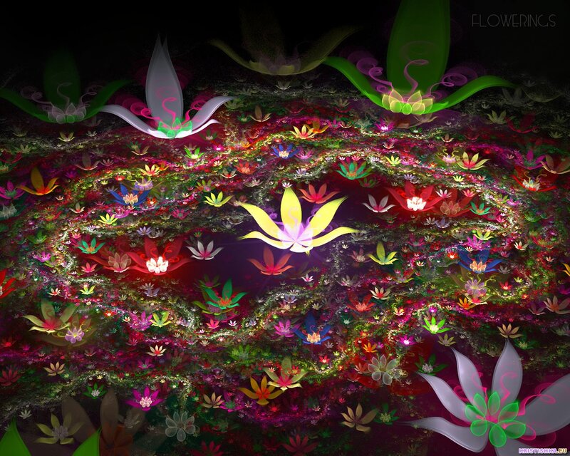 Colorful Fractal Flowers — Purple, Dreamy, Night, Digital Art