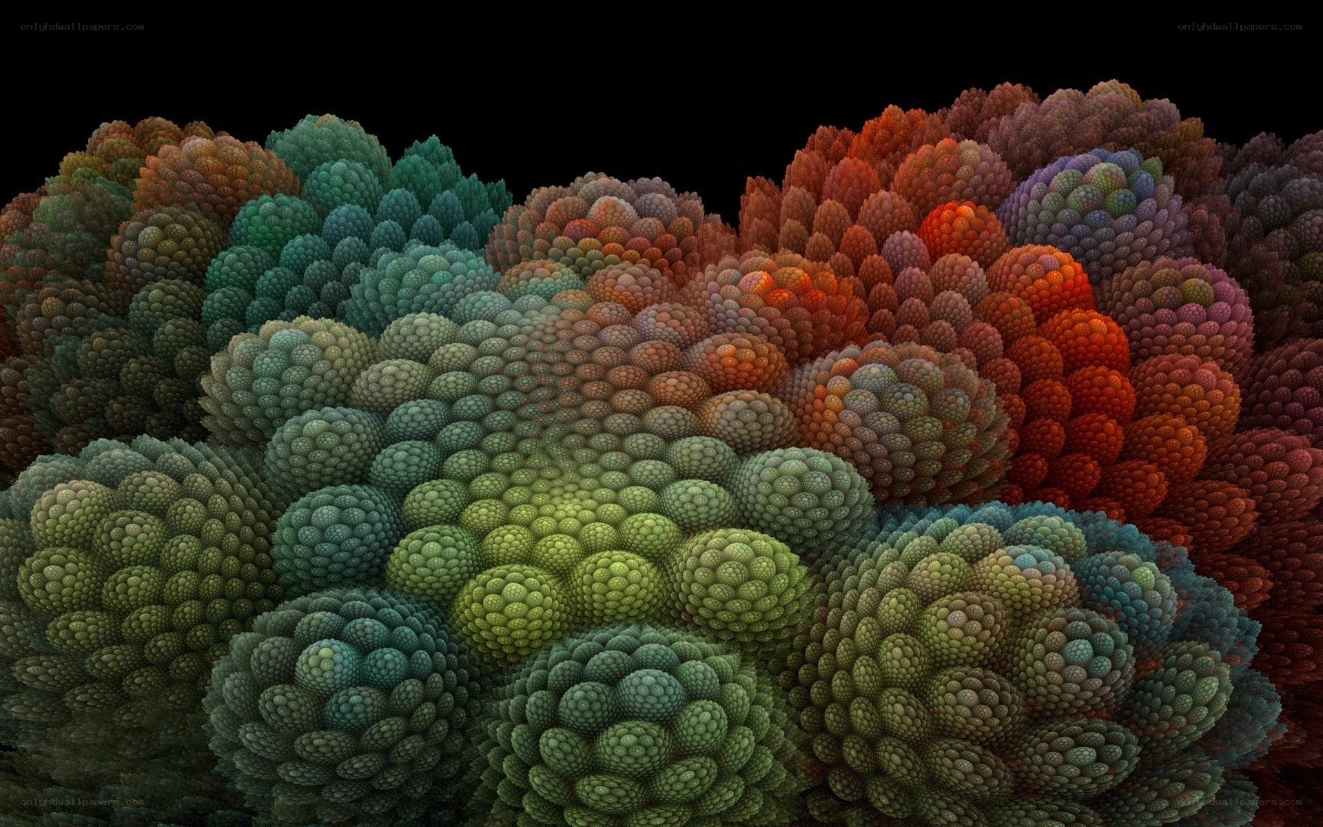 Colorful fractal formations