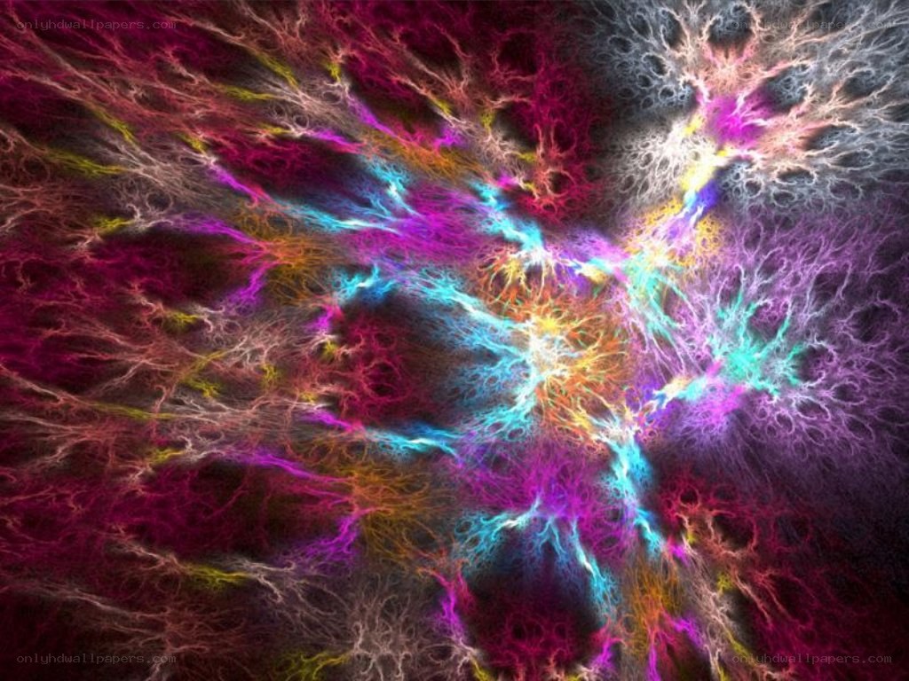 Colorful fractal network