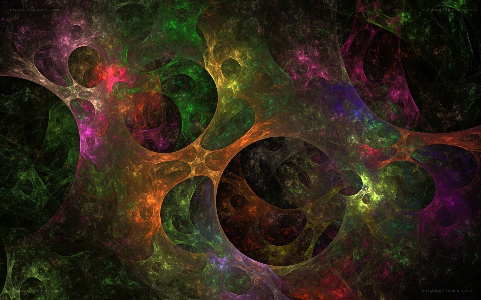 colorful fractal network