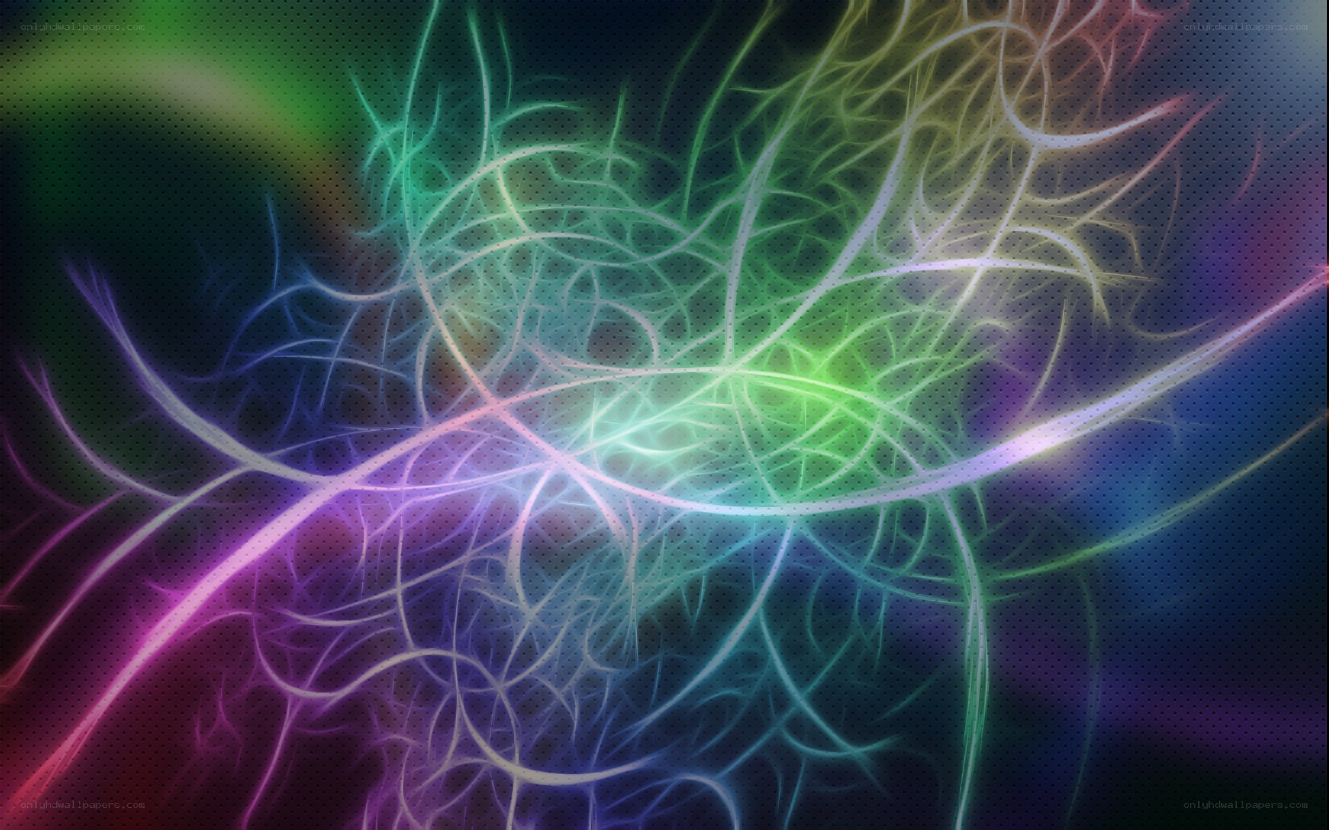 colorful fractal network