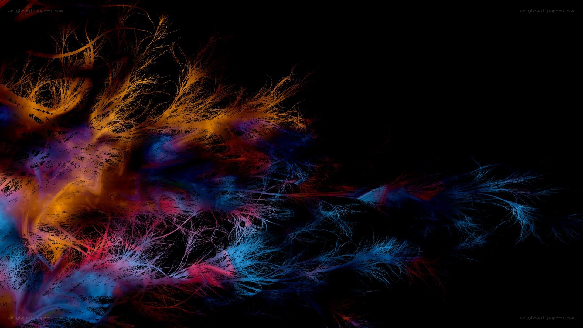 Colorful fractal network