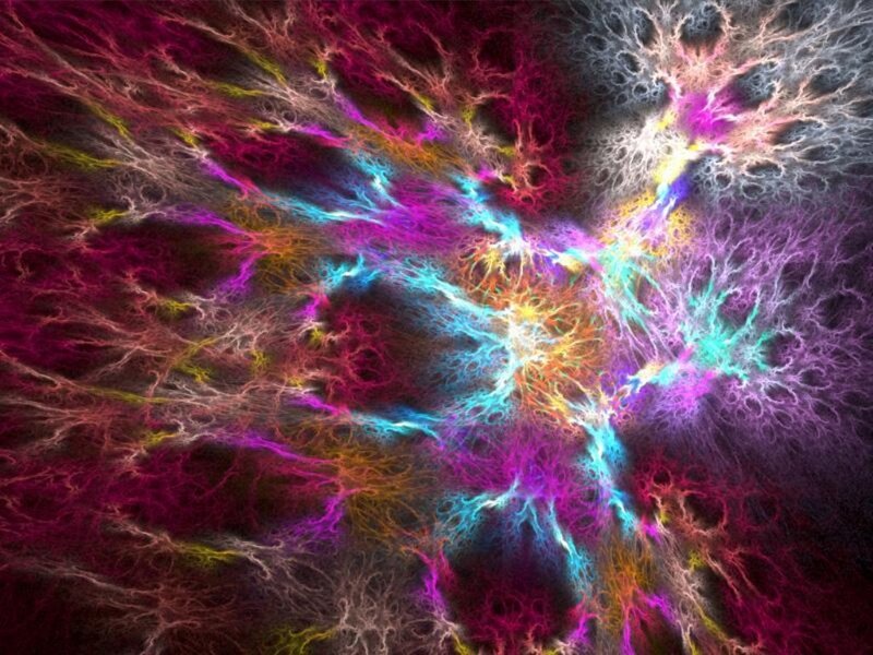 Colorful Fractal Network — Purple