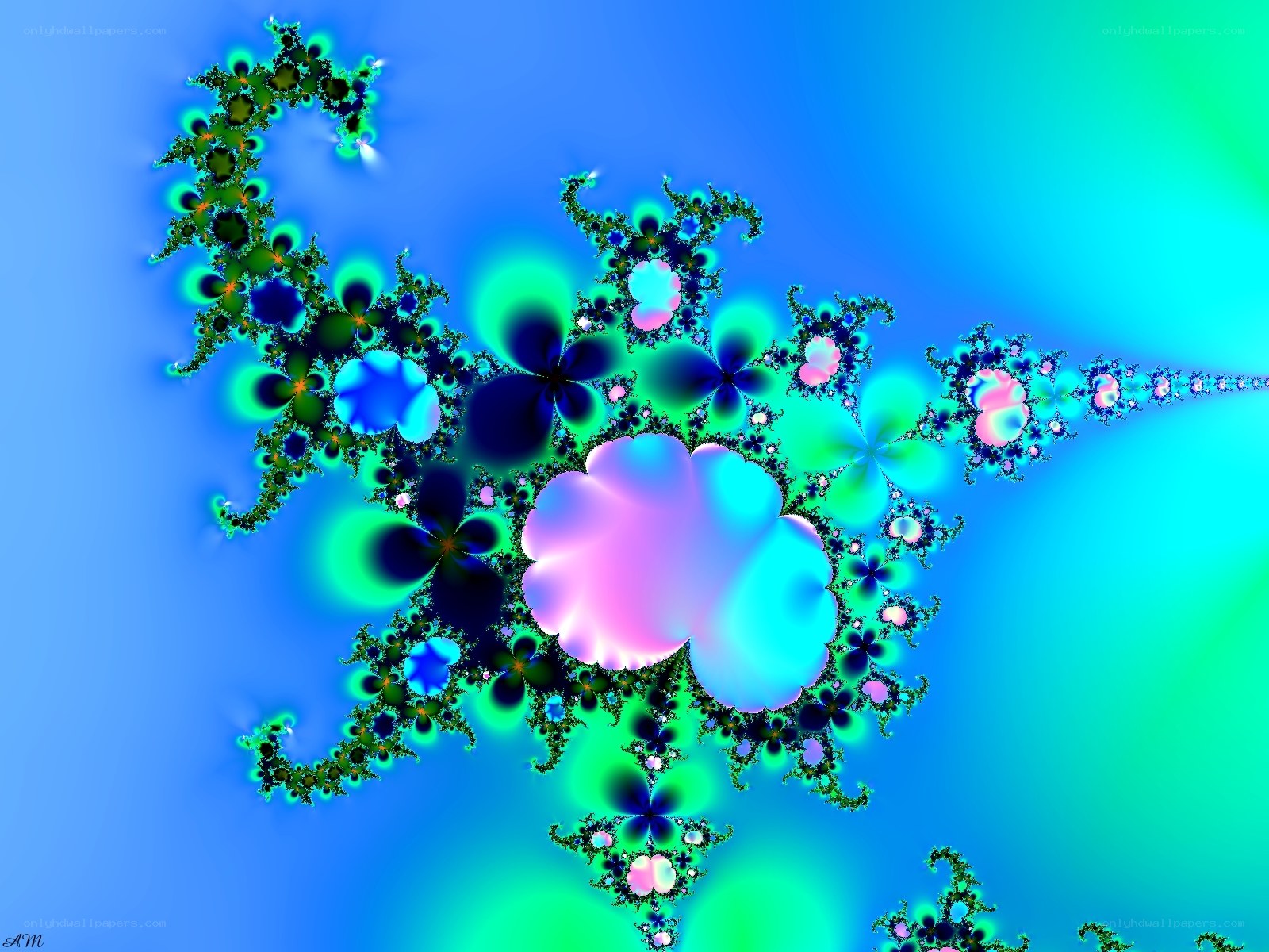 colorful fractal pattern
