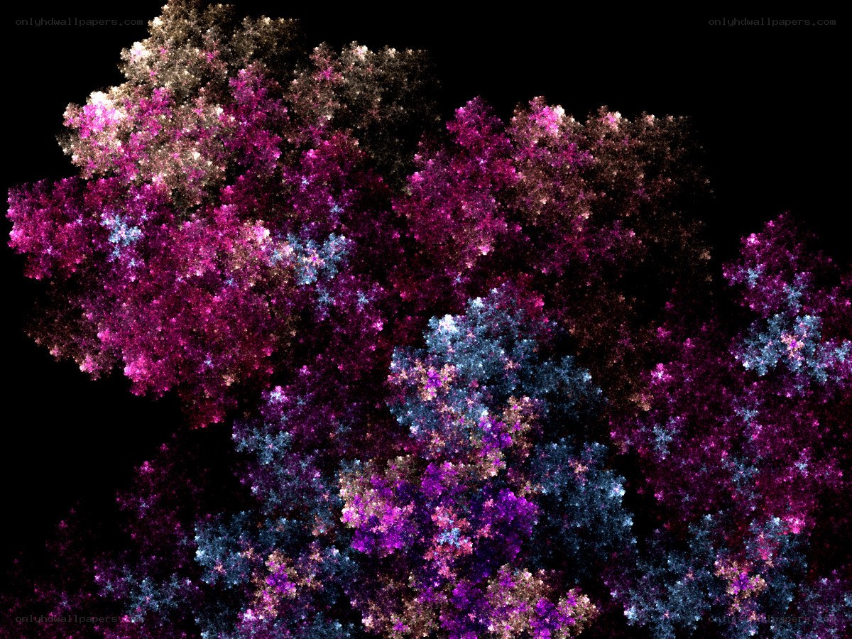 colorful fractal pattern
