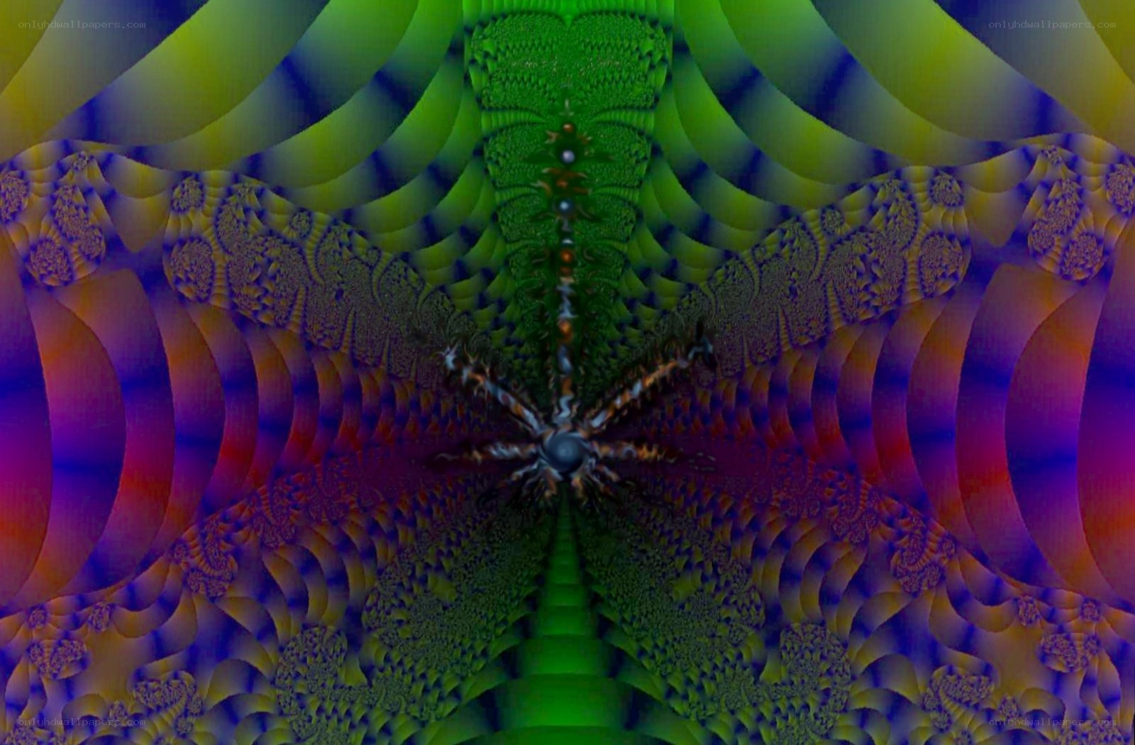 colorful fractal pattern