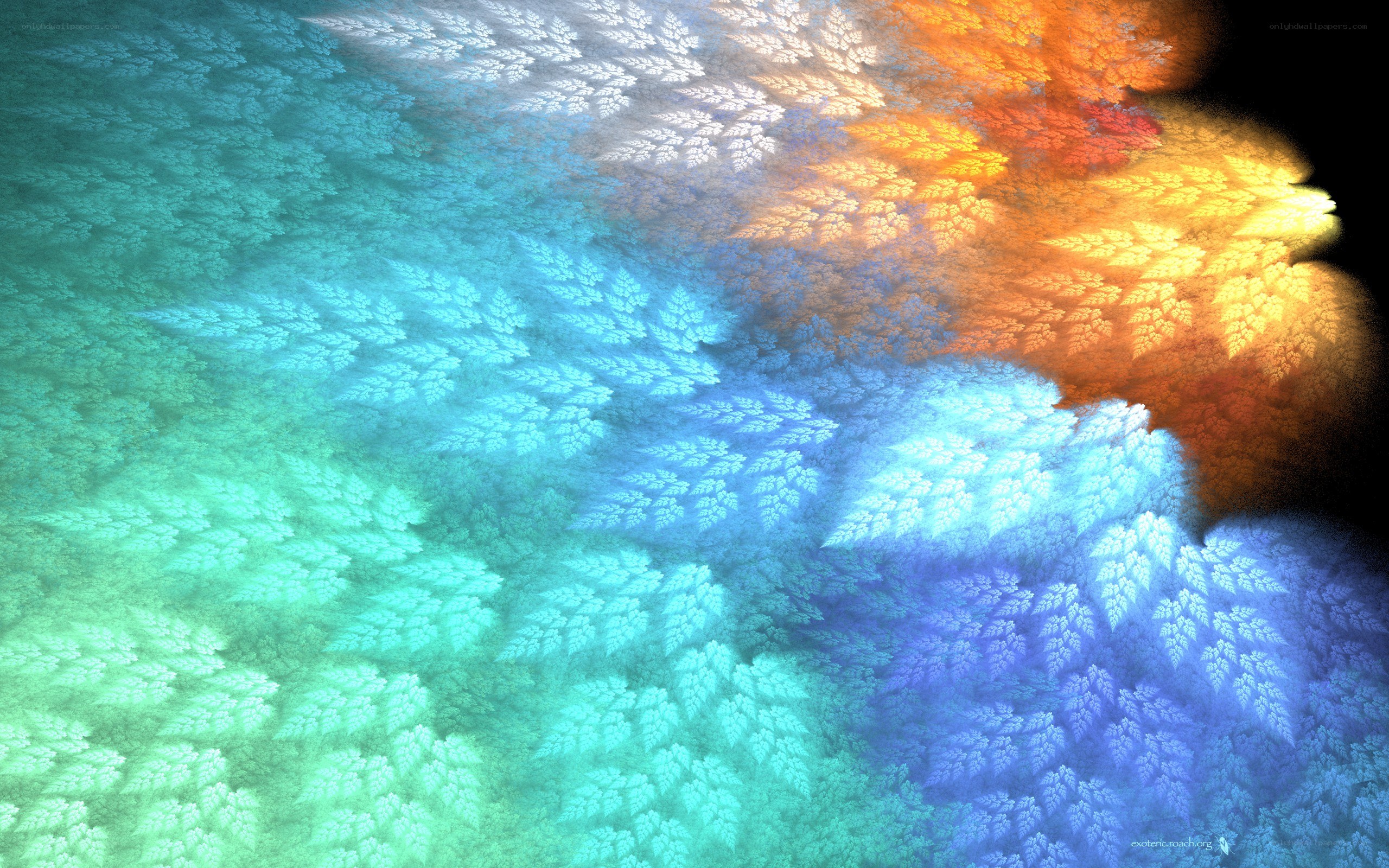 Colorful fractal pattern