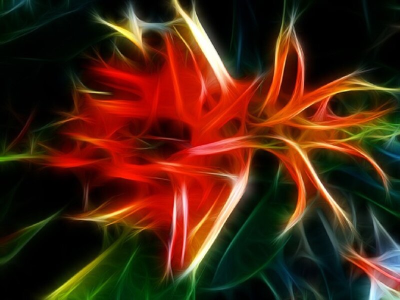 Colorful Fractal Pattern — Red, Energetic