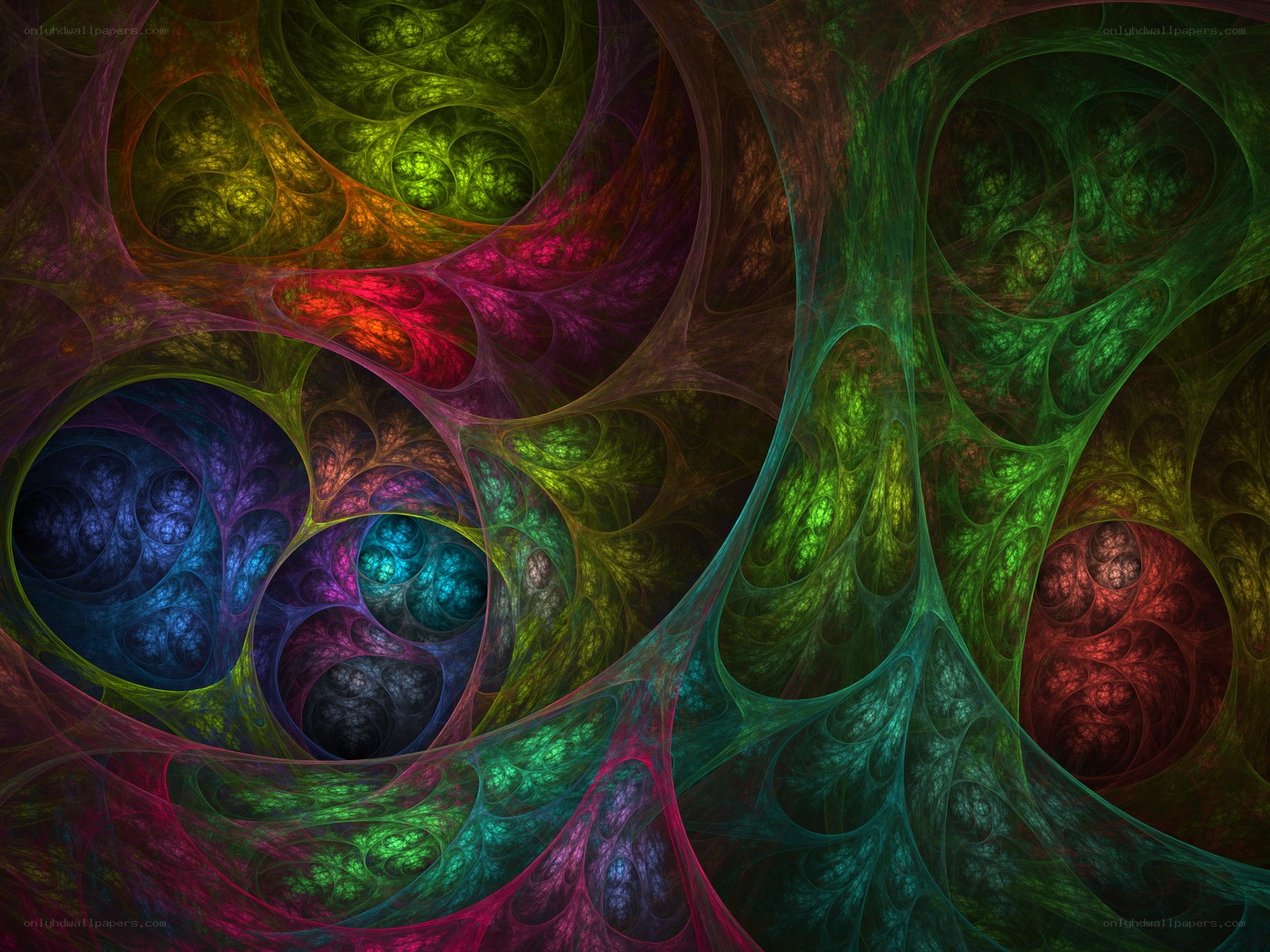colorful fractal patterns