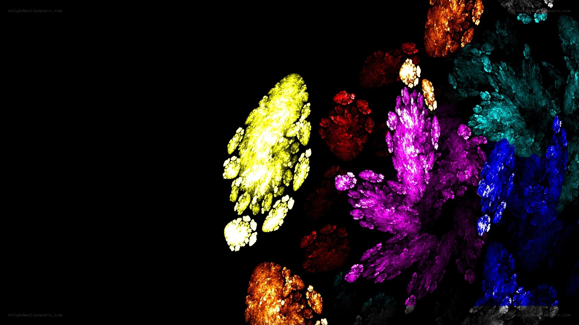 colorful fractal patterns