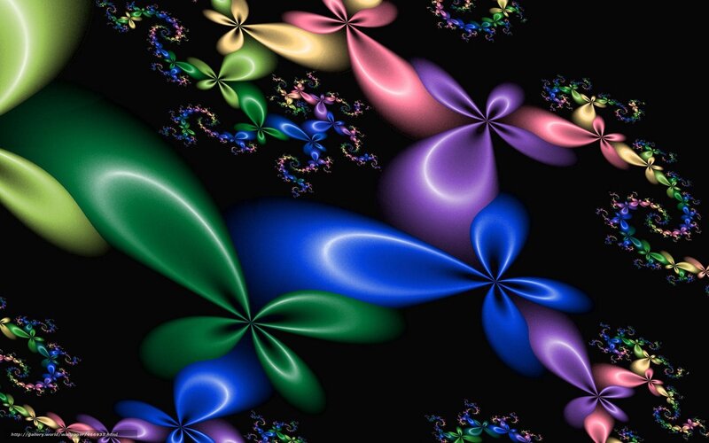 Colorful Fractal Patterns — Black, Vibrant, Digital Art, Flowers