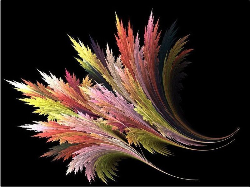 colorful fractal plant design