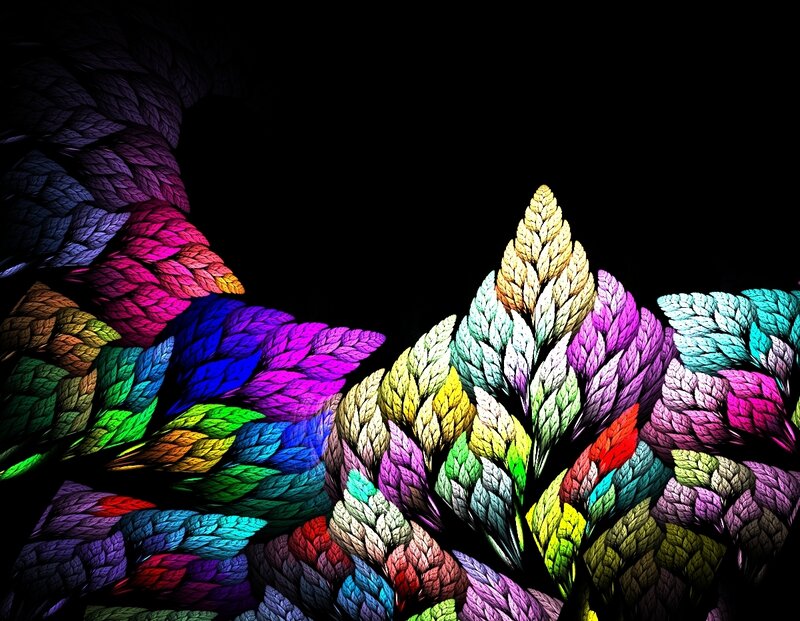 colorful fractal plant design