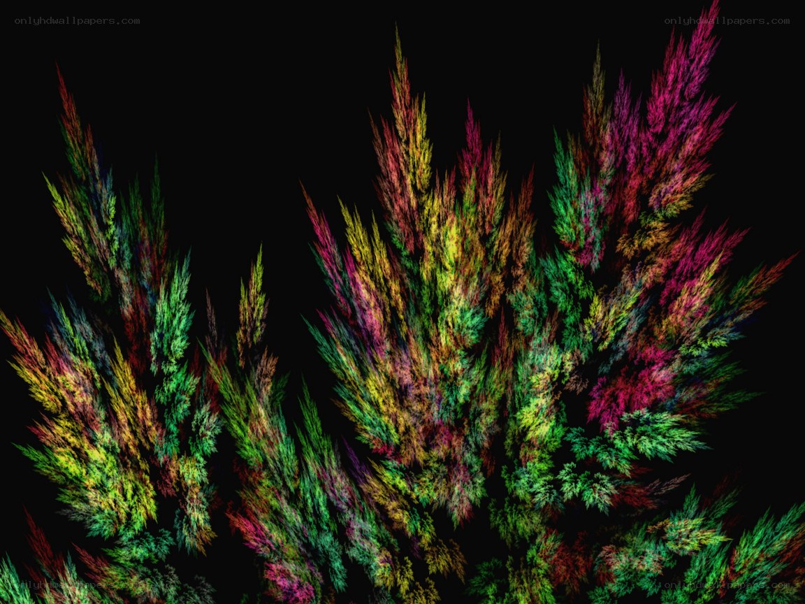 colorful fractal plant forms