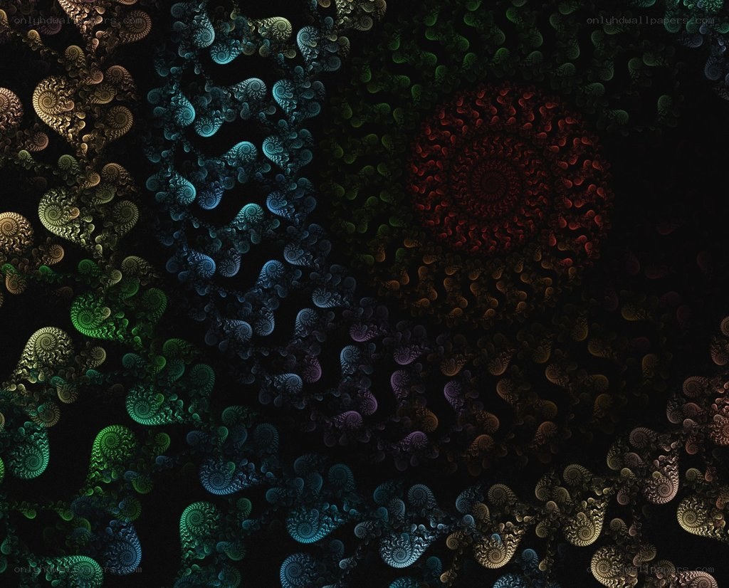 colorful fractal spiral patterns