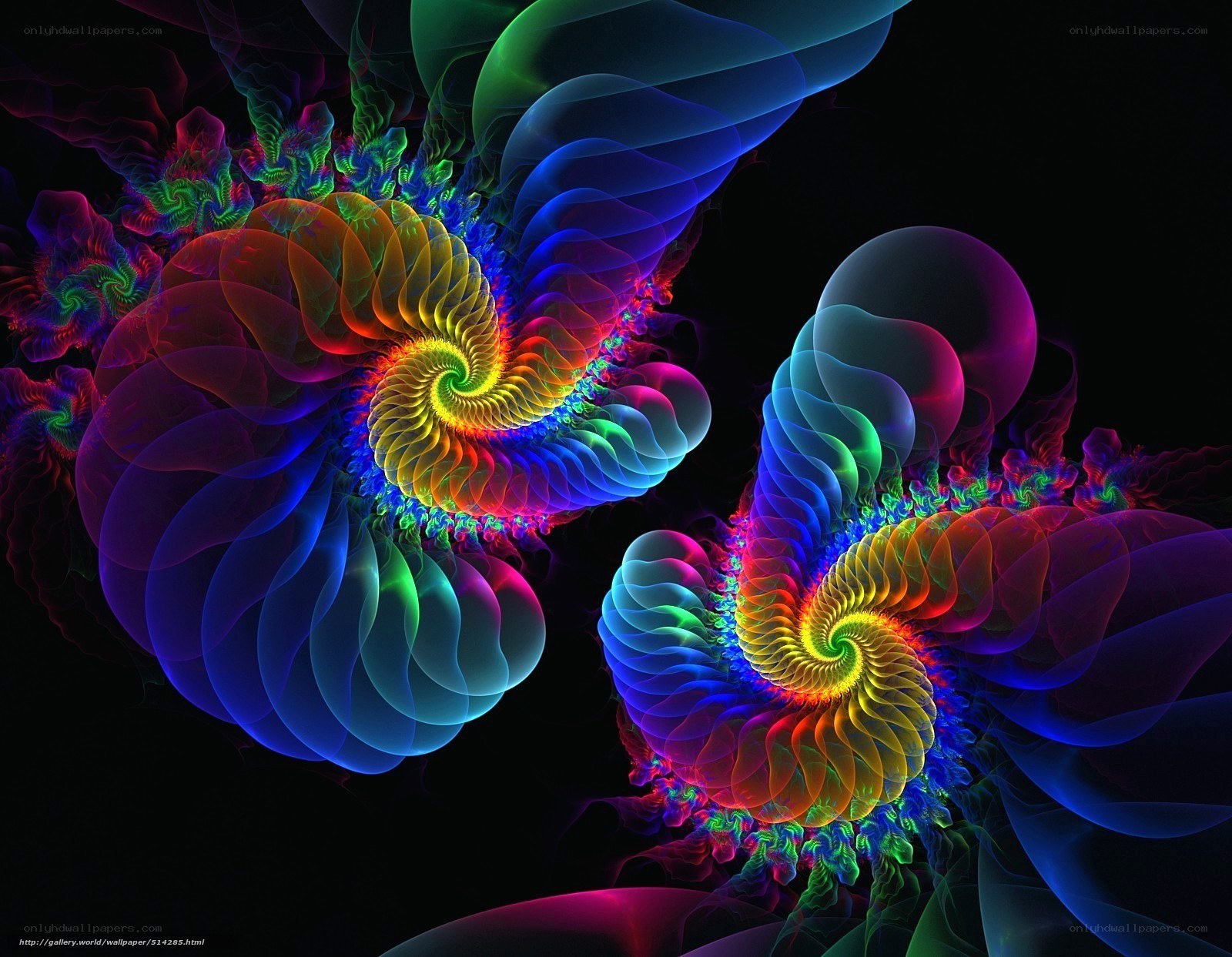 Colorful fractal spirals