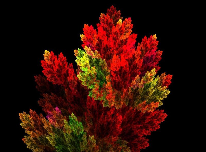 Colorful fractal tree