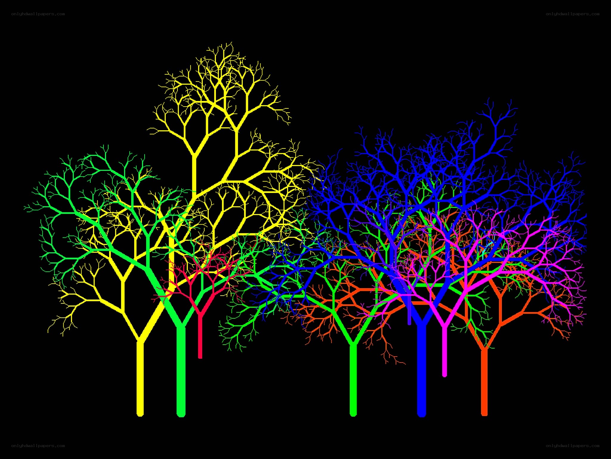 Colorful fractal trees
