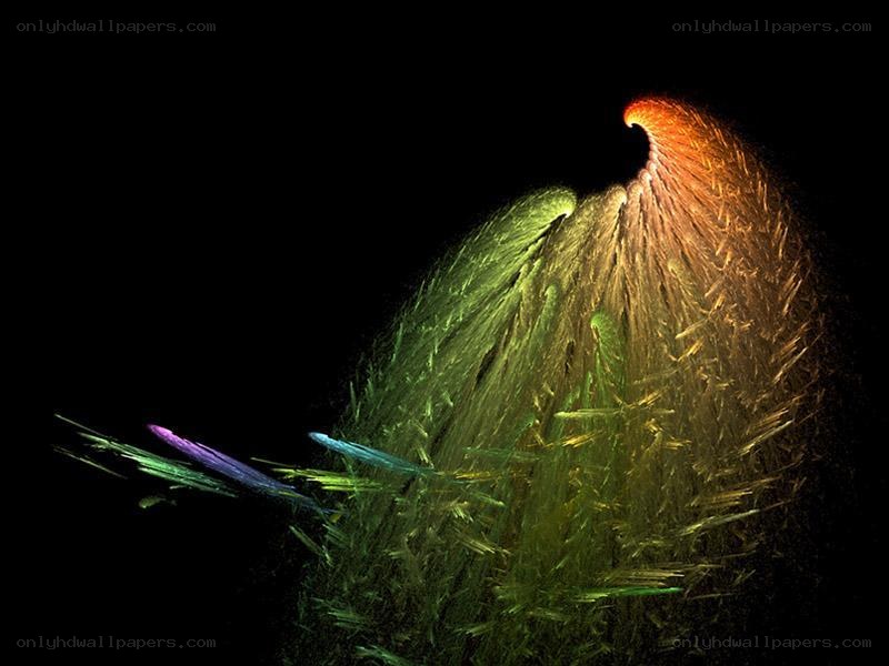 colorful fractal wing