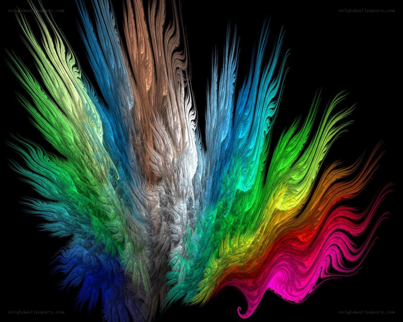 Colorful fractal wings