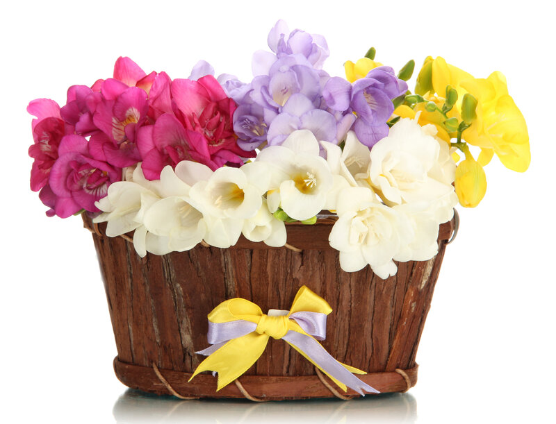 Colorful Freesia Bouquet — Yellow