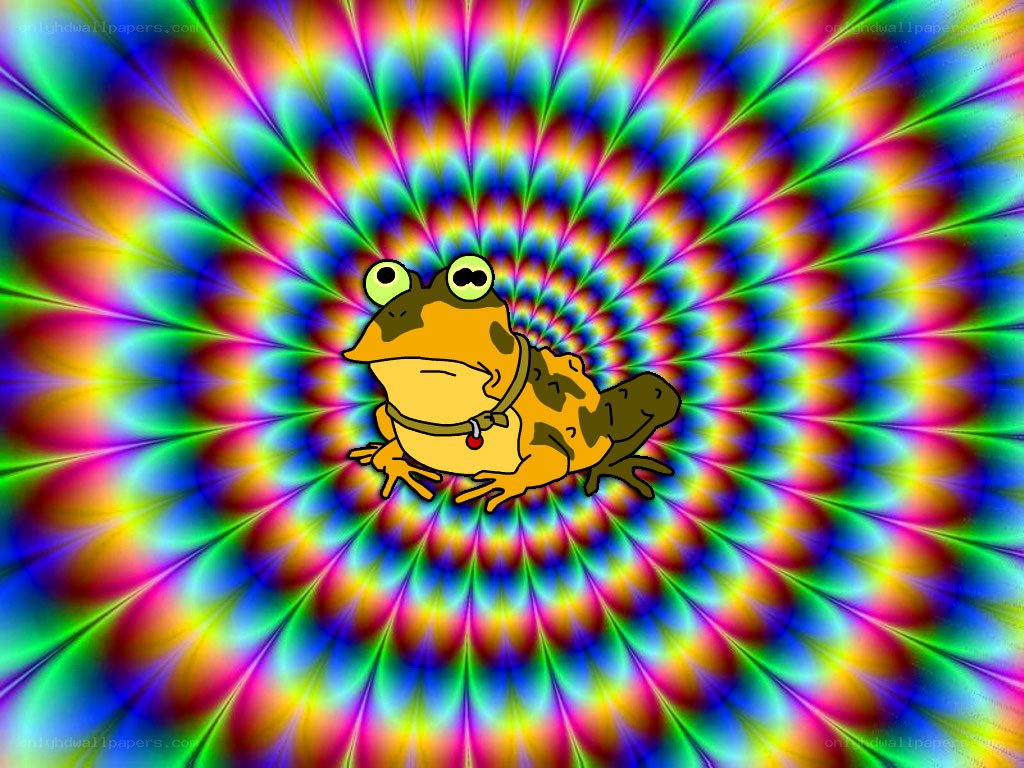 colorful frog on psychedelic background