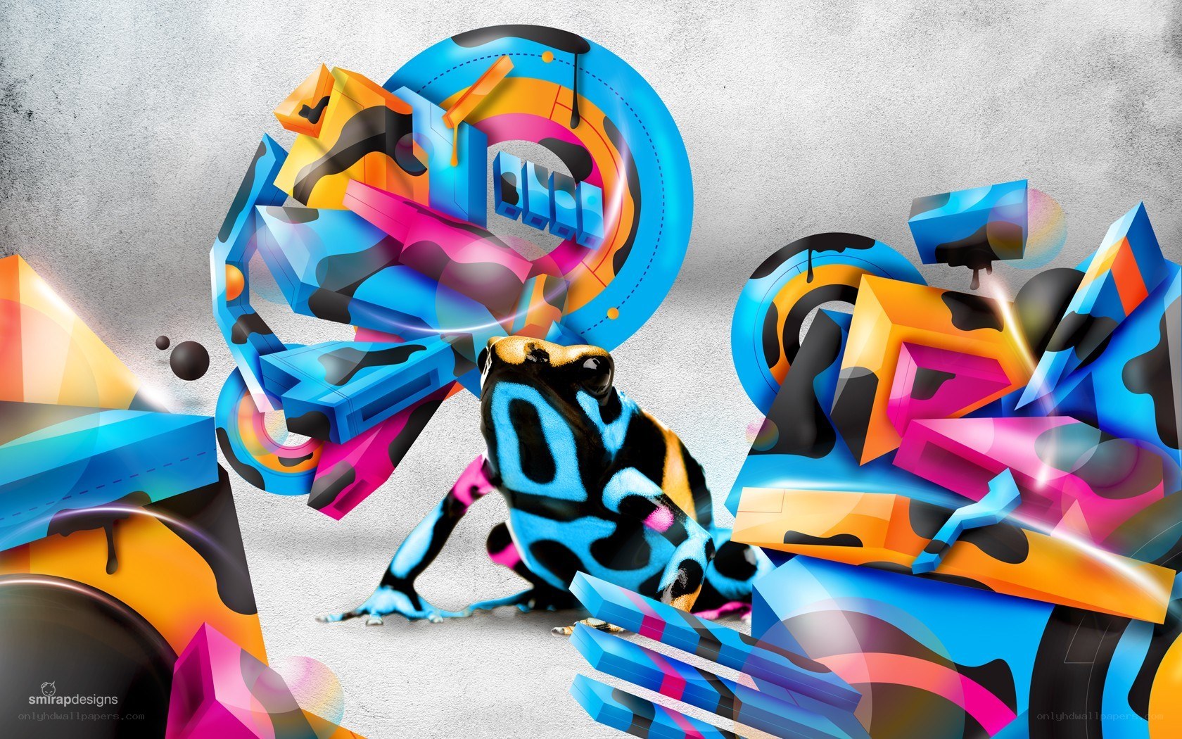 colorful frog with abstract shapes