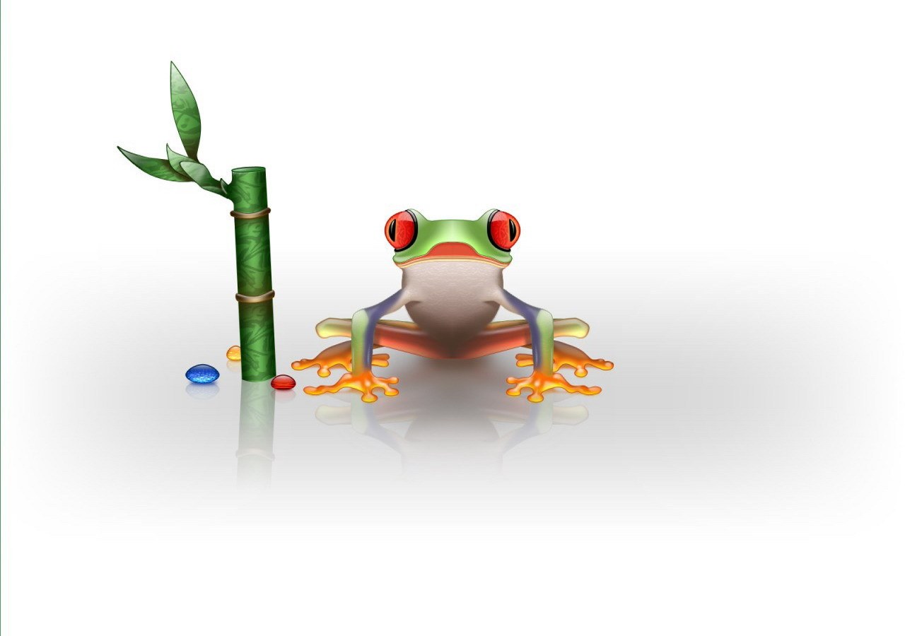 colorful frog with bamboo