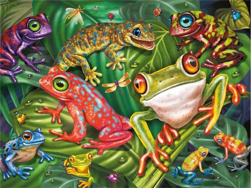 Colorful Frogs on Leaves